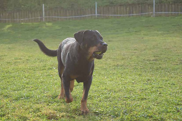 med_Azat - jetzt hab ich's.jpg (600 x 400)